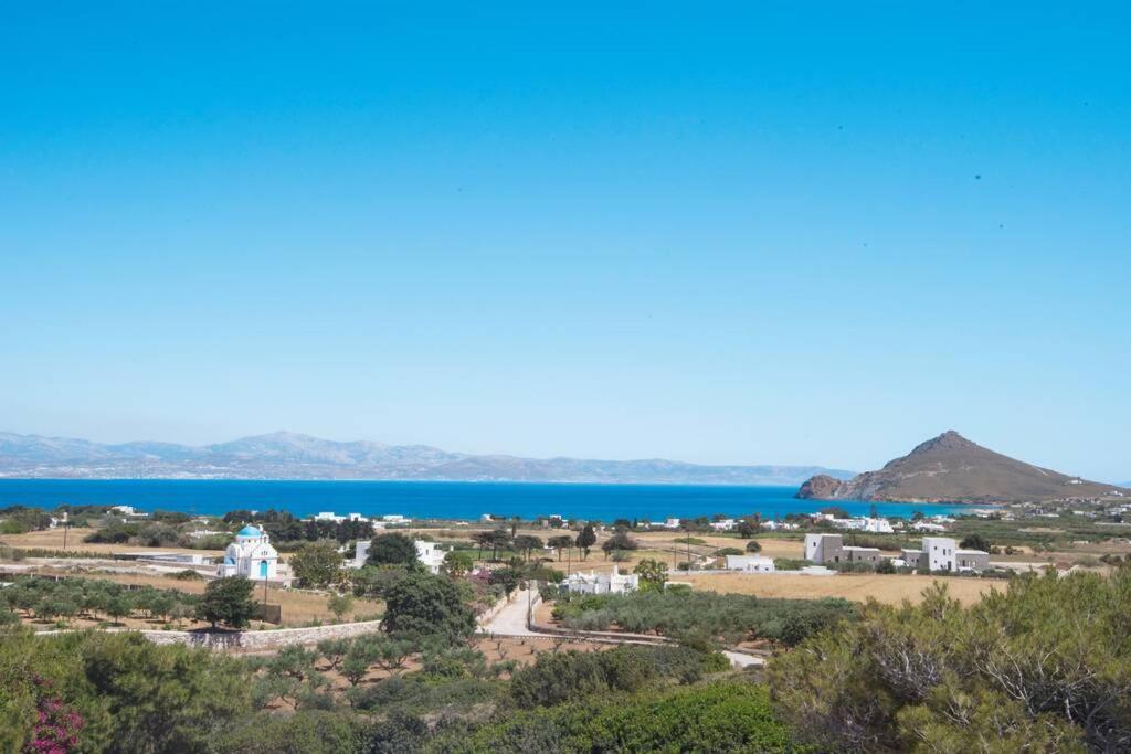 Sunny Studio W.Breathtaking Naxos Views In Isterni Apartamento Isterni  Exterior foto